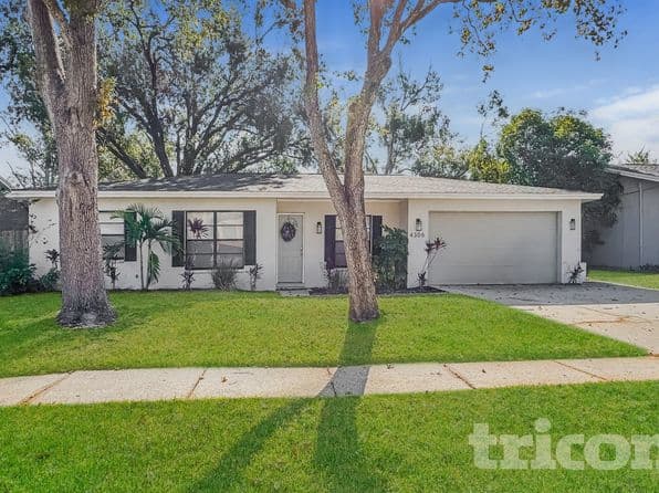 4306 Woodlark Dr, Tampa, FL 33624